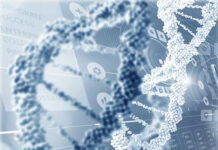 Personalised medicine and insurance providers