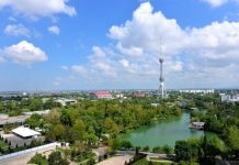 Decarbonization Potential of Uzbekistan’s Economy