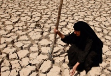 Global water bankruptcy and Iran’s Crisis