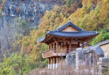 Diplomacy on a Plate: Serving Andong’s Heritage in the Heart of Paris