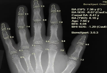 Uzbekistan introduces its first national AI System: BONU AGI