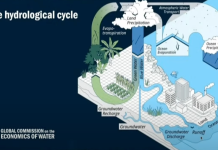 Water Policy: The deciding factor in Kazakhstan’s food future