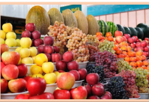 Agricultural sector of Uzbekistan: New opportunities for growth