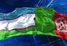 Uzbekistan and Afghanistan: Trade as the basis of regional stability